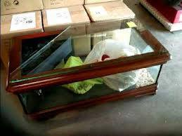 9023_54e59f26ec515.jpg 259X194 px