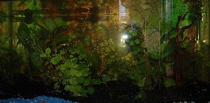1001_4868a1bca7e84.jpg 1280X631 px
