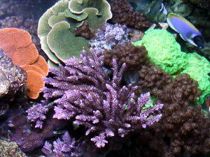 100_4ec02c70328c3.jpg 1024X768 px