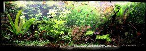 10349_58be022bdf28b.jpg 945X330 px