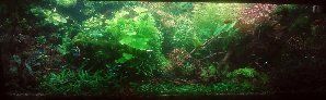 10349_591a29c2b6f0a.jpg 1417X438 px