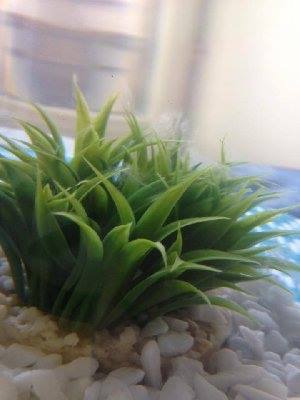 10579_563d11250592f.jpg 720X960 px