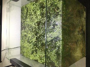 10593_5d937915dd943.jpg 1600X1200 px