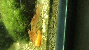 10593_5dbacd1cb3fd0.jpg 1600X901 px