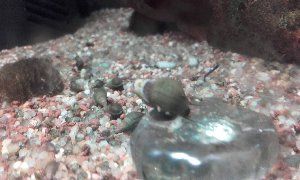 10808_5772c96d3c7ac.jpg 1280X768 px
