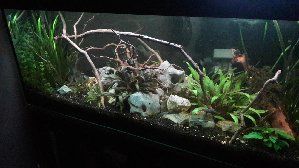 11418_58cfedc1d8b68.jpg 1600X900 px