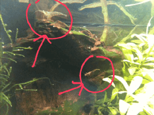 11453_57c5bd782803c.png 640X480 px