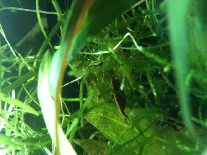 11453_57ca84aee4925.jpeg 480X640 px