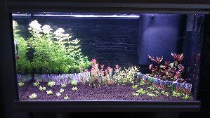 11458_5751c98b0db5e.jpg 1600X900 px