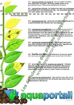 11555_5b858f6d8e3ef.jpg 320X453 px
