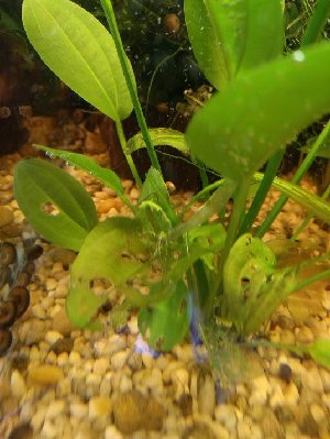 11555_5b86c80641353.jpg 536X714 px