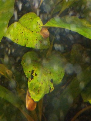 11555_5b86c82900ca3.jpg 572X763 px