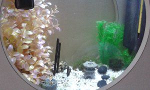 11572_578235707bb46.jpg 1280X768 px