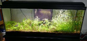 11719_57ea3c7112d3f.jpg 1280X613 px