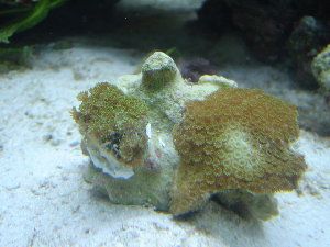 11_468d236eb602d.jpg 300X225 px