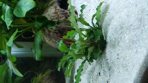 12432_589103e8eb54f.jpg 1600X900 px