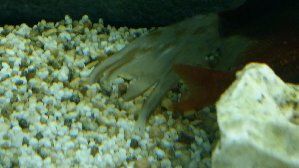 12437_5894e8ad9a6ad.jpg 1600X900 px