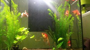 12736_58c7051be997c.jpg 1600X900 px