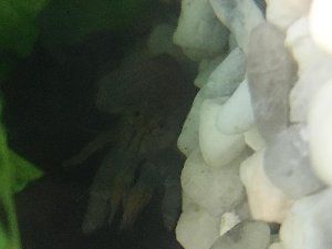 12779_58d0435bbc4a7.jpg 1600X1200 px