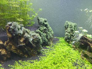 13206_65cb5f71393bd.jpg 1000X750 px