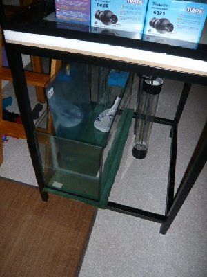 1337_4b1aa39db964c.jpg 300X400 px