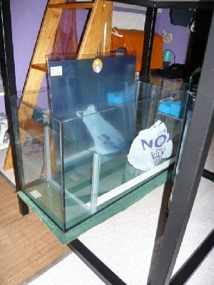 1337_4b1aa3b6d2cf8.jpg 300X400 px