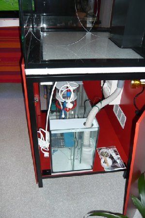 1337_4c0d5244e1e3c.jpg 299X451 px