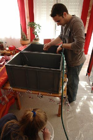 1337_4c0d54a1ba654.jpg 320X479 px