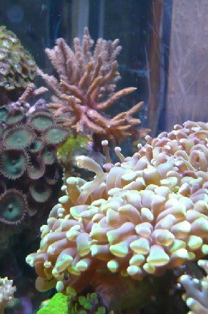 1337_4c0f4d6c0336e.jpg 299X451 px