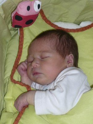 1337_4c6996720da64.jpg 300X400 px