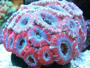 1337_4f8b22e25c47c.jpg 300X225 px