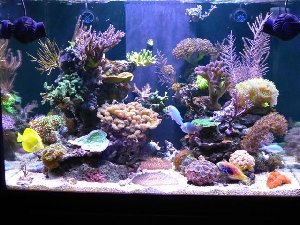 1337_5fb38c5b1c212.jpg 640X480 px