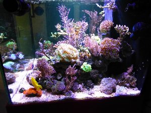 1337_5fb38cb11a994.jpg 1600X1200 px