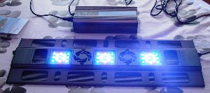 1337_5fc6a8a320949.jpg 1200X536 px