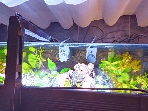 1337_5fc7bebb07e9f.jpg 1600X1200 px