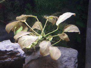 13388_593dab579dcba.jpg 1600X1200 px