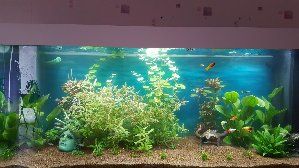 13412_5979a5cff03cb.jpg 1600X900 px
