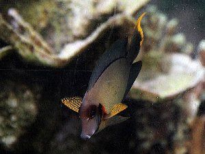13456_594f3ddd40264.jpg 800X600 px