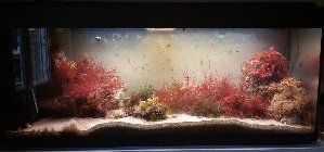 13559_59665bf123fc7.jpg 1534X719 px