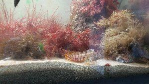 13559_59665c7ea458b.jpg 1024X576 px
