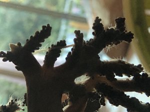 13746_5b8bd858b189f.jpg 1600X1200 px