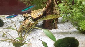 13752_599af3b2b67af.jpg 1600X900 px
