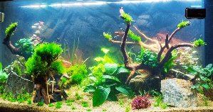13794_6172e269f2bac.jpg 1600X845 px