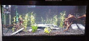 13875_59f71a3529049.jpg 1291X595 px