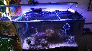 13935_59be77f36aa11.jpg 1600X900 px