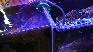 13935_59be79205c7af.jpg 1600X900 px