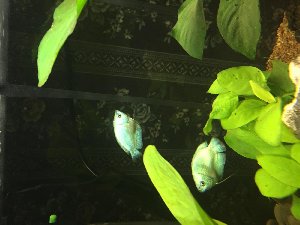 13957_59db49d759e6b.jpg 1600X1200 px