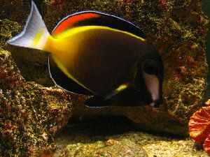1406_4979cd0d4d605.jpg 300X225 px