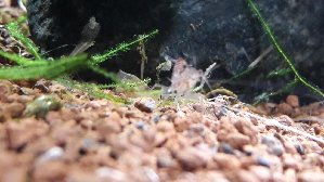 14197_5a63147ec2b90.jpg 1600X900 px