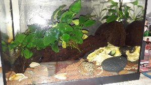 14197_5aa29a41e5df5.jpg 1600X900 px
